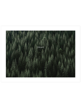 Green Dream - Art Print